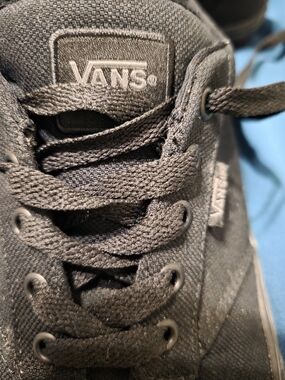 Vans Black Low-Top Canvas Sneakers